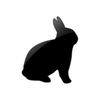 Captcha image 3504
